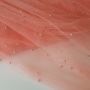 ФБ10 - Фатин с бусинами "Розовый персик"